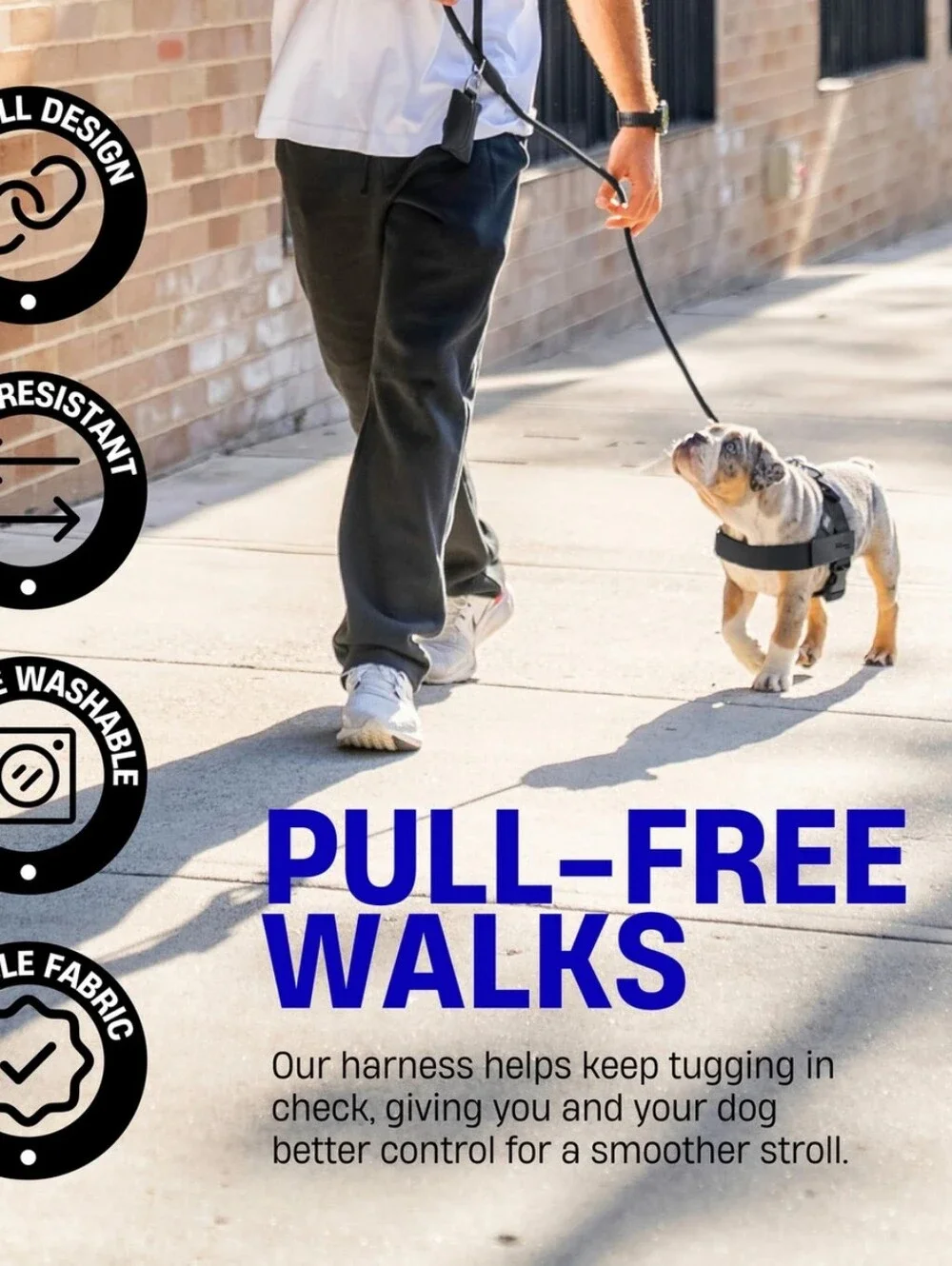 Dog Freindly no pull